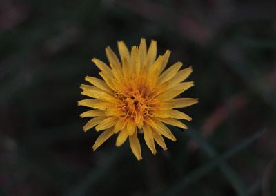 e017.18.jpg
