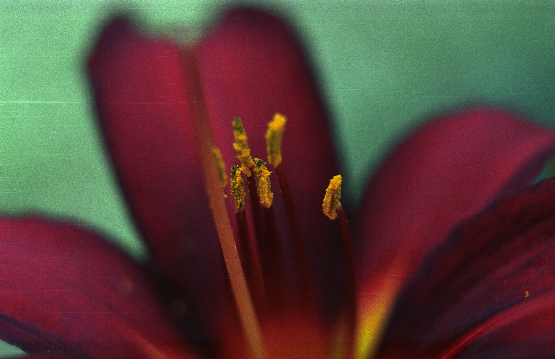 e017.14.jpg