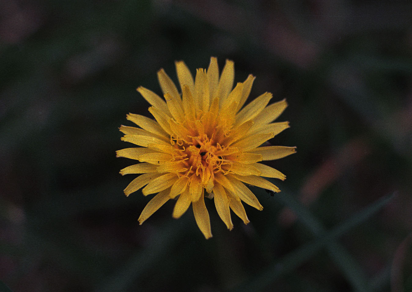 e017.18.jpg
